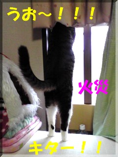 ²È¤«¤é¥Þ¥Ë¤µ¤ó¤â¢ö