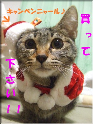 ¥¥ã¥ó¥Ë¥ã¥ë