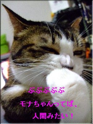¤×¤×¤×¤×¤×