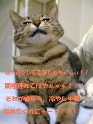 DSCF7517