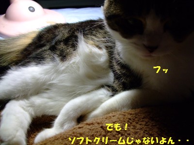 DSCF5783