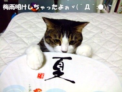 DSCF9075
