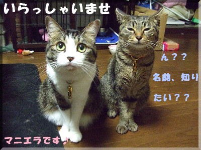 welcome??
