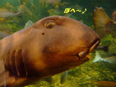 DSCF5702