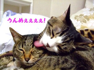 DSCF8118