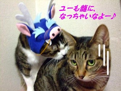 DSCF3101