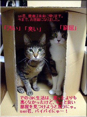 3Kって・・・