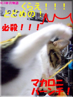 ¥Þ¥«¥í¥Ë¥Ñ¥ó¥Á¢ö