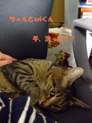 DSCF8008
