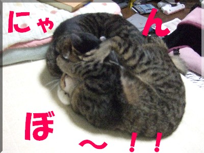 ¤Ë¤ã¤ó¤â¤Ê¤¤¤È¤Î´°À®¢ö