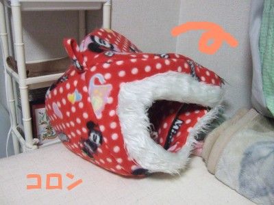 DSCF2630