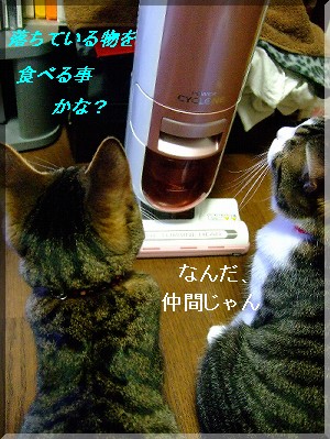 ΢Ïᣣ²