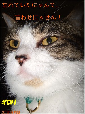 ¥®¥í¥ê¡ú