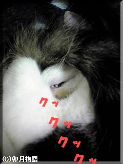 ¤ï¤é¤Ã¤È¤ë¤¥(¡±¢£¡±|||)޶ŽÞްŽÝ