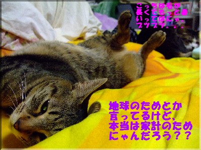 ¤¢¤Â¤£¤Ê¤¡£³