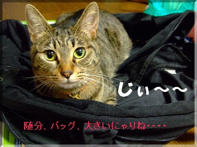 ±Ô¤¤¥â¥Ê¤µ¤ó¡¦¡¦¡¦
