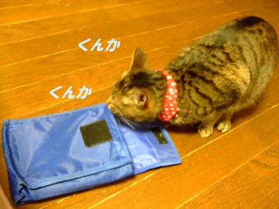 DSCF6170