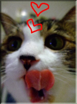 ¥Ï¡¼¥È¤Ç¤ª½Ð·Þ¤¨¡©