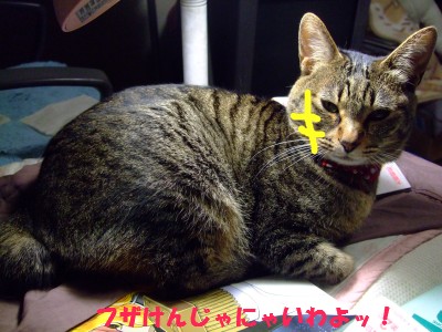 DSCF6209