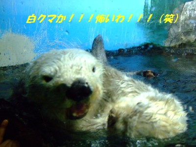 DSCF5679