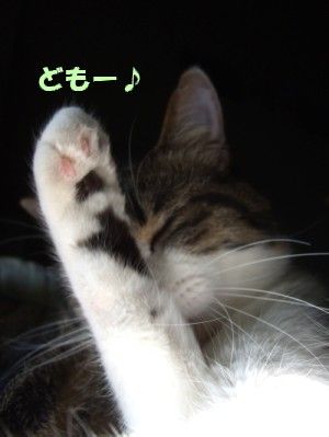 DSCF2496