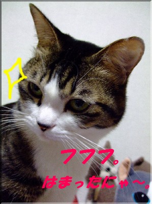 ¤Û¤¯¤½¥¨¥à¡¢¥Þ¥Ë