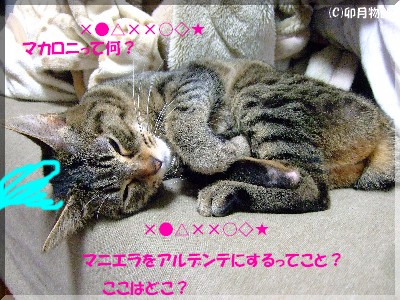 ¥â¥Ê¤µ¤ó·âÄÀ