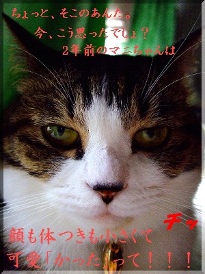 ¥´¥ë¥¡¡Á¡ª¡ª¡ª