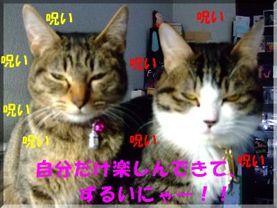 ¤Î¤í¤ï¤ì¤ë¤¥¤¥¦²¦²(Žß§ÕŽßlll)