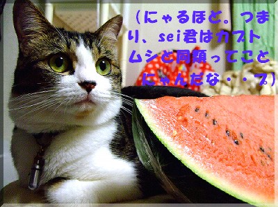 ¥×