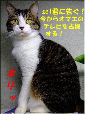 ¥Þ¥Ë¤µ¤ó¡¢Êª¿½¤¹¡©