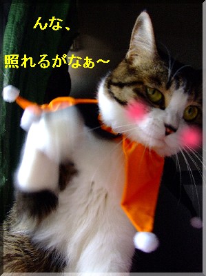 ¾È¤ì¤ë¥Þ¥Ë