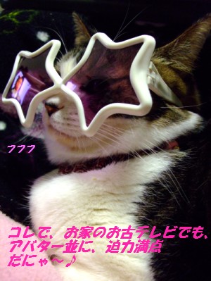 DSCF5073