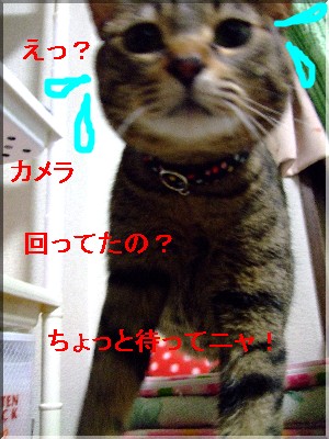 ¾Ç¤ë¥â¥Ê¤µ¤ó¡Ê¾Ð¡Ë