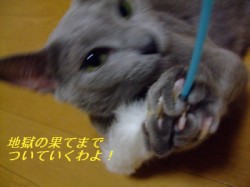 ÈÖ³°ÊÔ