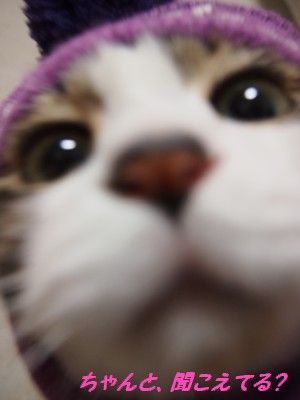 P1010219