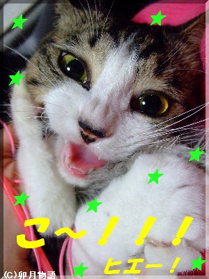 ¤³¡¼¡¼¡ª¡ª¥Õ¥£¥Ë¥Ã¥·¥å¡£