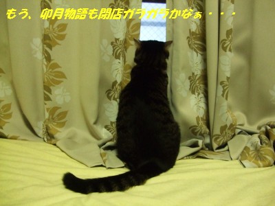 7·î18Æü 009