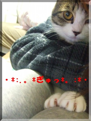 ¥®¥å¥Ã¡ù¥Þ¥Ë¤µ¤ó¡£