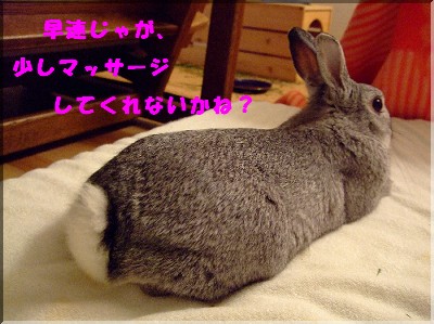 なでなでプリーズ♪