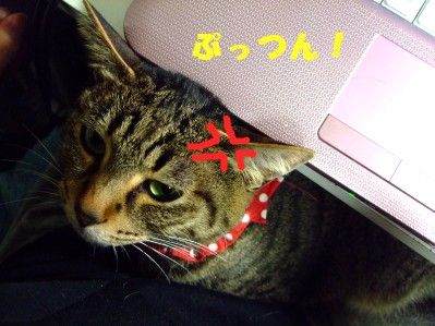 DSCF5858