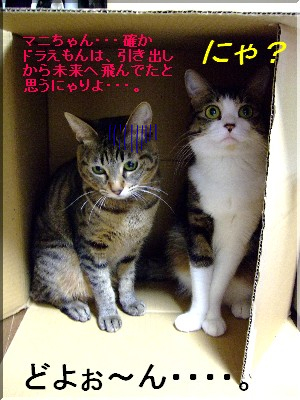 どよーん