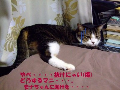 DSCF6151