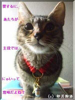 ¥â¥Ê¤µ¤ó¡¢¤ª¤½¤ë¤Ù¤·¡£¡£