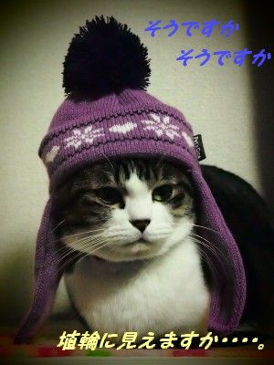 P1010232