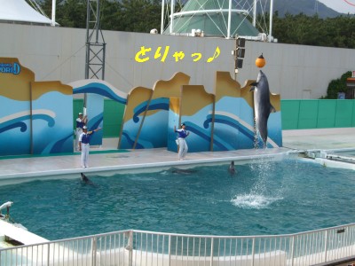 DSCF5663
