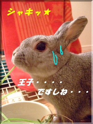 シャキッ・・・・?