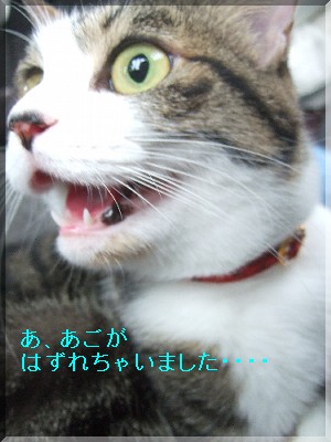 ²½¤±Ç½Ð¸½¡©