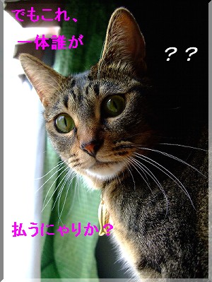 ¥â¥Ê¤µ¤óµ¿Ìä