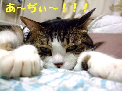 DSCF8228